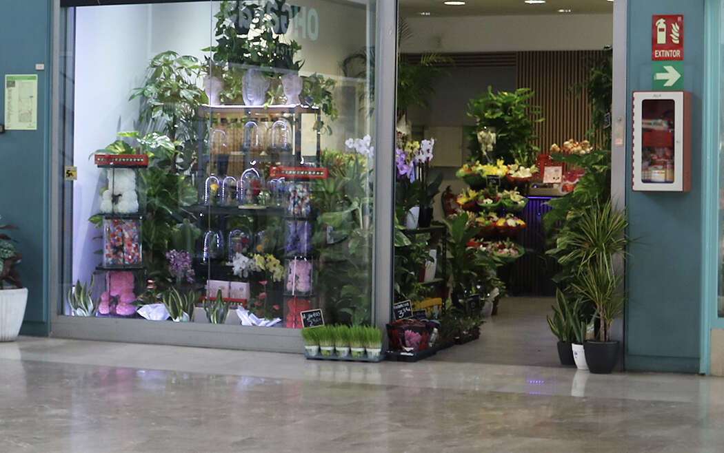 HILDA FLORISTERIA