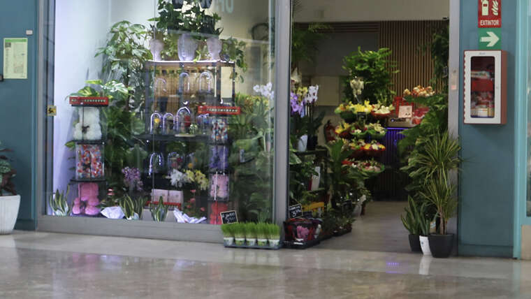 HILDA FLORISTERIA