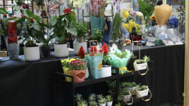 Kiosko de Flores y Plantas.