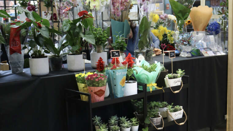 Kiosko de Flores y Plantas. 